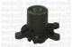 24-0407 METELLI