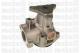 24-0496 METELLI