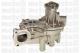 24-0579 METELLI