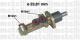 050386 METELLI