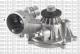 24-1129 METELLI