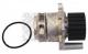 21829 Mapco