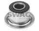 53915082 SWAG