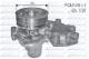 L144 DOLZ