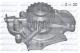 M146 DOLZ