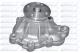 M164 DOLZ