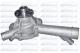 M204 DOLZ