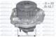 S319 DOLZ