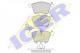 181605 Icer