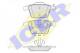 181612 ICER