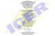 181653 Icer