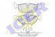 181663 ICER