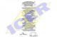 181957203 ICER