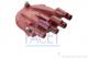 275306PHT FACET