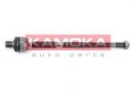 999711 KAMOKA
