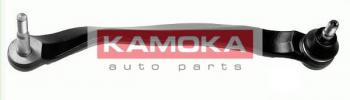 9941177 KAMOKA