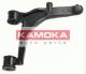 996173 KAMOKA