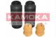 2019007 KAMOKA