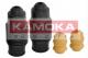 2019024 KAMOKA