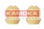 2019029 KAMOKA