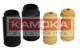 2019031 KAMOKA