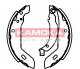 JQ202065 KAMOKA