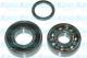 WBK1505 KAVO PARTS