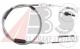 K10597 A.B.S.