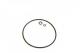 Sh449P SCT