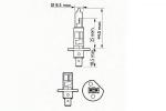 202631 SCT