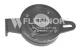 FS22904 FLENNOR