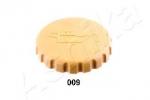 14700009 ASHIKA