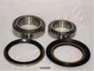 44-10305 ASHIKA