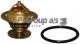 1114601110 JP Group
