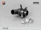 TS125 FENOX