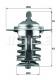 TX7082 MAHLE Original
