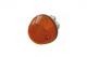 35688000 EUROLITES LEART