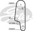 5428XS Gates