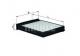 LA175 KNECHT