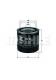 OC31 KNECHT