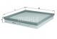 LX981 KNECHT