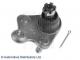 ADH286134 BLUE PRINT
