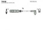 T083B TESLA