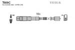 T809C TESLA