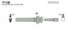 T112B TESLA