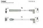T469G TESLA