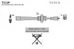 T533P TESLA