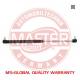 8231010PCSMS Master-Sport