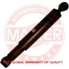 200421PCSMS Master-Sport