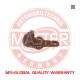 22004PCSMS Master-Sport
